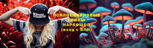 a pvp Абаза